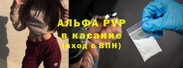 сатива Абаза