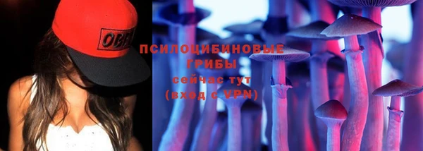 сатива Абаза