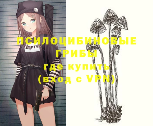 винт Абинск