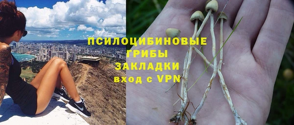 сатива Абаза