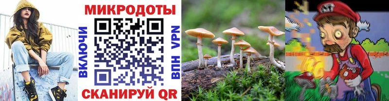 Псилоцибиновые грибы GOLDEN TEACHER  Тырныауз 